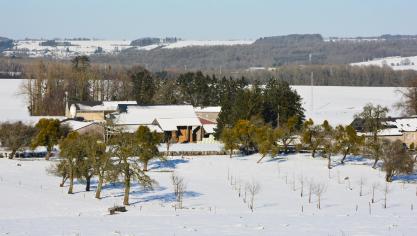 Une baisse du soutien au 1
er
 pilier de la pac affecterait, tout particulièrement à l’échelle européenne, les éleveurs de bovins, ovins et caprins, les producteurs de céréales et d’oléo-protéagineux, et les oléiculteurs.