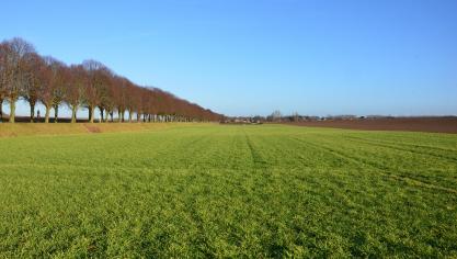Parmi les réactions, notre pays souhaite que les propositions formulées sur la future politique agricole commune s’intéresesse davantage aux mesures de marché et aux outils de gestion des risques.