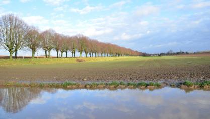 Après avoir tranché pour sa sortie de l’UE, la Grande-Bretagne peine à sortir la tête de l’eau. Une courte majorité de ses habitants avouve aujourd’hui regretter ce choix.
