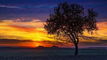 sunset-3067567_1920
