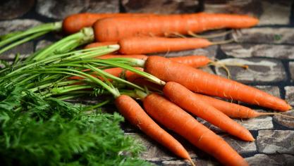 carrots-2387394_1920
