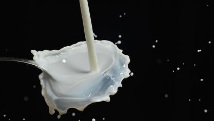 drip-175551_1920