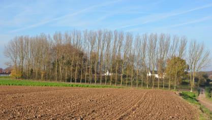 Quelque 8.000 agriculteurs de dix pays de l’UE, dont le notre (en Flandre) ont été consultés, fin 2013, et n’ont pas manqué d’exprimer leurs préoccupations quant à l’avenir.