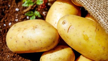 potatoes-1585060_1920
