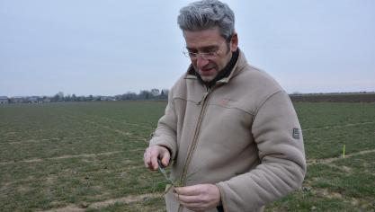 Olivier Mahieu, ingénieur au Carah: «L’arrivée tardive du froid hivernal nous force à la patience. Lorsque les conditions seront meillieures, il sera temps de songer au premier apport azoté dans les cultures.»