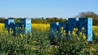 « Pour lutter plus efficacement contre toutes sortes de ravageurs des abeilles indigènes et exotiques,  il est nécessaire que les différentes parties concernées travaillent ensemble, de manière constructive  et sur la base d