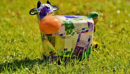cow-1357202_1920
