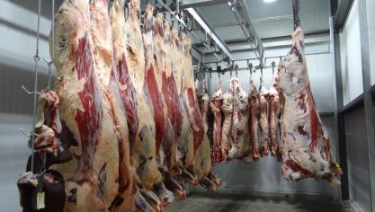 beef-1884301_1920