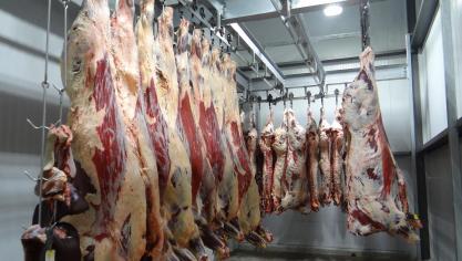 Introduire davantage de transparence dans la pesée des carcasses 
figure parmi les revendications des syndicats agricoles.