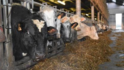 Plus les consommateurs seront proches des producteurs, des éleveurs, en toute transparence, avec des circuits courts de commercialisation, plus les risques de dérives seront cadenacés.