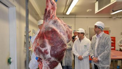 «En résumé, le BBB permet d’offrir au consommateur exactement ce qu’il souhaite
: une viande maigre, tendre et goûteuse, produite dans le respect du bien-être animal et de la sécurité alimentaire.»