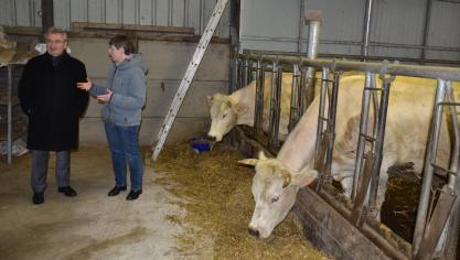 À Libramont, le Cra-w étudie, notamment, la possibilité de conduire un troupeau allaitant de race Blanc Bleu mixte avec engraissement des mâles en agriculture biologique.