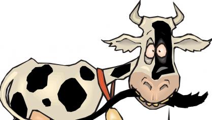 vache
