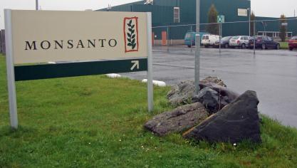 Monsanto-vestiging_Enkhuizen