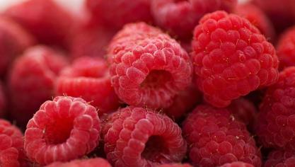 raspberries-2665618_1920