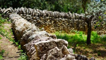 La réparation et la reconstruction du mur mitoyen sont à charge de tous les copropriétaires, proportionnellement au droit de chacun, sauf si la reconstruction a été rendue nécessaire par la faute de l