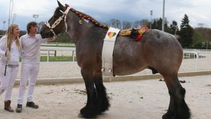 Angela van ‘t Ravensgat, 1
er
 prix des juments de 8 à 9 ans, à Camerlinck - Comeine – Sleidinge.