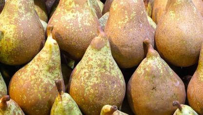 pears-1741549_1920