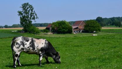 Ce soutien au renforcement du poids des agriculteurs dans la chaîne alimentaire répond aussi au souhait exprimé par les citoyens d’une plus grande proximité avec les producteurs.