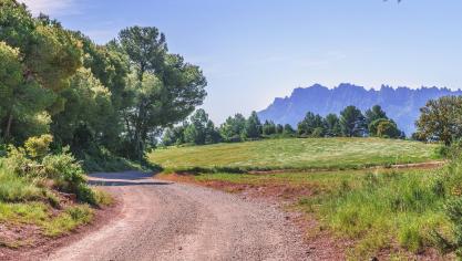 path-3404248_1920