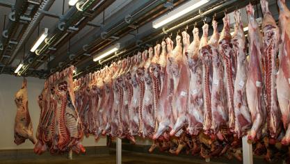 meat-640721_1920