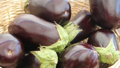 eggplant-237448_1920