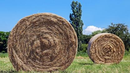hay-bales-1508813_1920