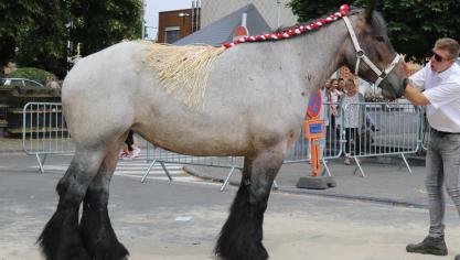 Jana van ‘t Bos, championne du jour (4ans), à Brynaet & Hussin.