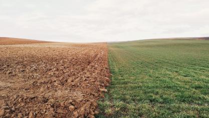 farmland-801817_1920