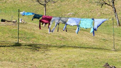 laundry-291168_1920