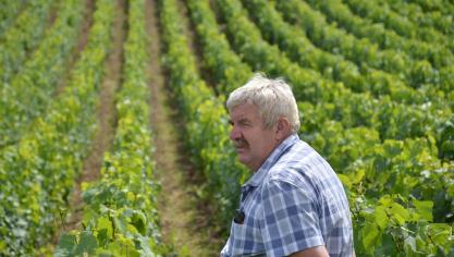 J-C Louis positive: «le prestataire a la passion du cheval, le vigneron de sa vigne et tous deux arrivent à en vivre. C’est un bon signal pour assurer du travail au cheval !»
