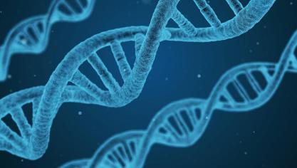 dna-1811955_1920