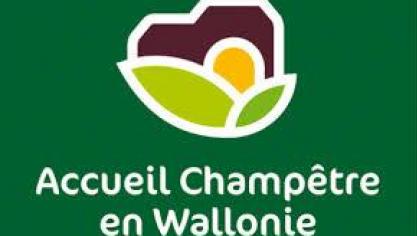 téléchargement