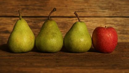 fruit-2637058_1920