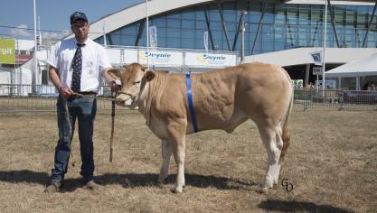 Natacha (Iris X Tilbury), 1
er
 prix des femelles de 7 à 12 mois, à Bernard Stephany Godet Association, Rouvreux.