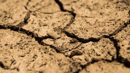 drought-780088_1920