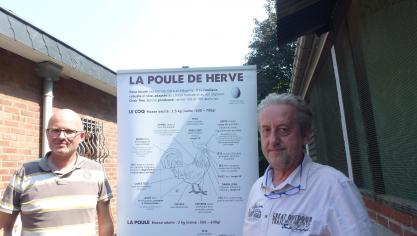 Le club des éleveurs de la poule de Herve rassemble tous les sélectionneurs de la race. Un site internet lui est consacré.  Il est géré par Didier Brick, à gauche sur la photo qu’on voit ici en compagnie de Jean-Marie Prégardien, le président du club.