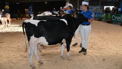 Record de participation pour l’Ecole des jeunes éleveurs! Preuve s’il en est que nombreux sont les jeunes à vouloir relever les défis de demain.