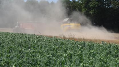 Les conditions économiques requises dans la législation devraient également, sur base des premiers constats rentrés, normalement être rencontrées.