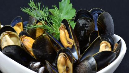 mussels-3148429_1920