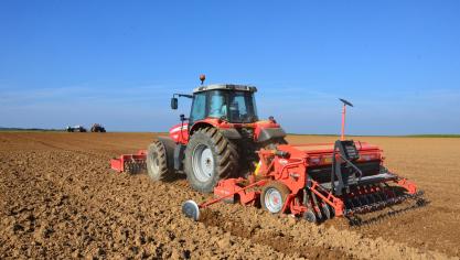 On sèmera à 1 ou 2 cm de profondeur en veillant au placement régulier des graines et à leur parfait recouvrement.