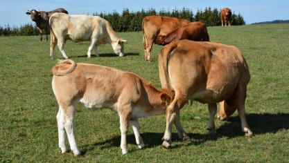 Les associations spécialisées seront uniquement concertées lorsque l’activité qu’elles défendent ou la catégorie d’agriculteurs qu’elles représentent sont concernés.