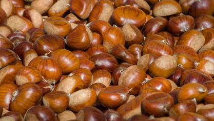 chestnuts-3727959_1920