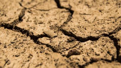 drought-780088_1920