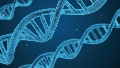 dna-1811955_1920