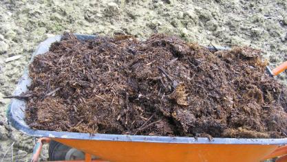 Les apports de  compost d