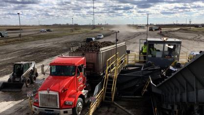 Le ballet des camions entre les champs et les stations de réception est incessant pendant les 3 premières semaines d’octobre. La logistique est réglée au cordeau. Toute marchandise potentiellement nuisible pour une conservation de longue durée est fermement refusée!