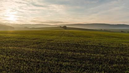 landscape-2211587_1920