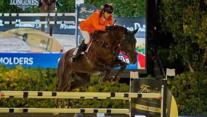 L’an dernier, c’est Don VHP Z qui a été élu «Cheval de l’Année». Cette année encore,  la concurrence sera rude.