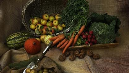 harvest-3679075_1920
